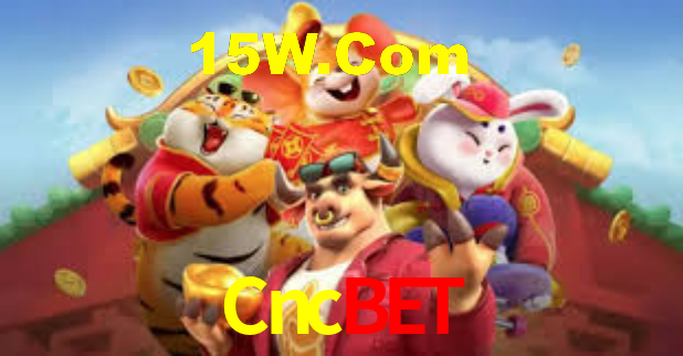 Premium Interface Cncbet